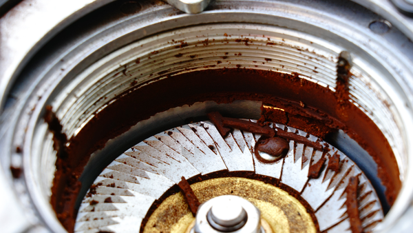 coffee grinder burr chamber full of coffee grounds