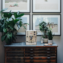 lelit elizabeth lifestyle front