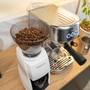 bambino plus esp above