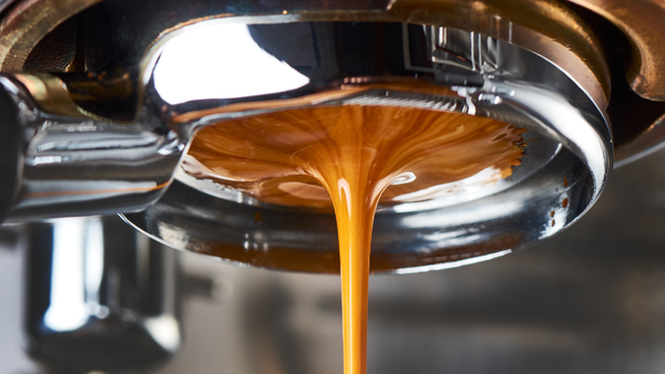 Turin Gallatin DB Overview